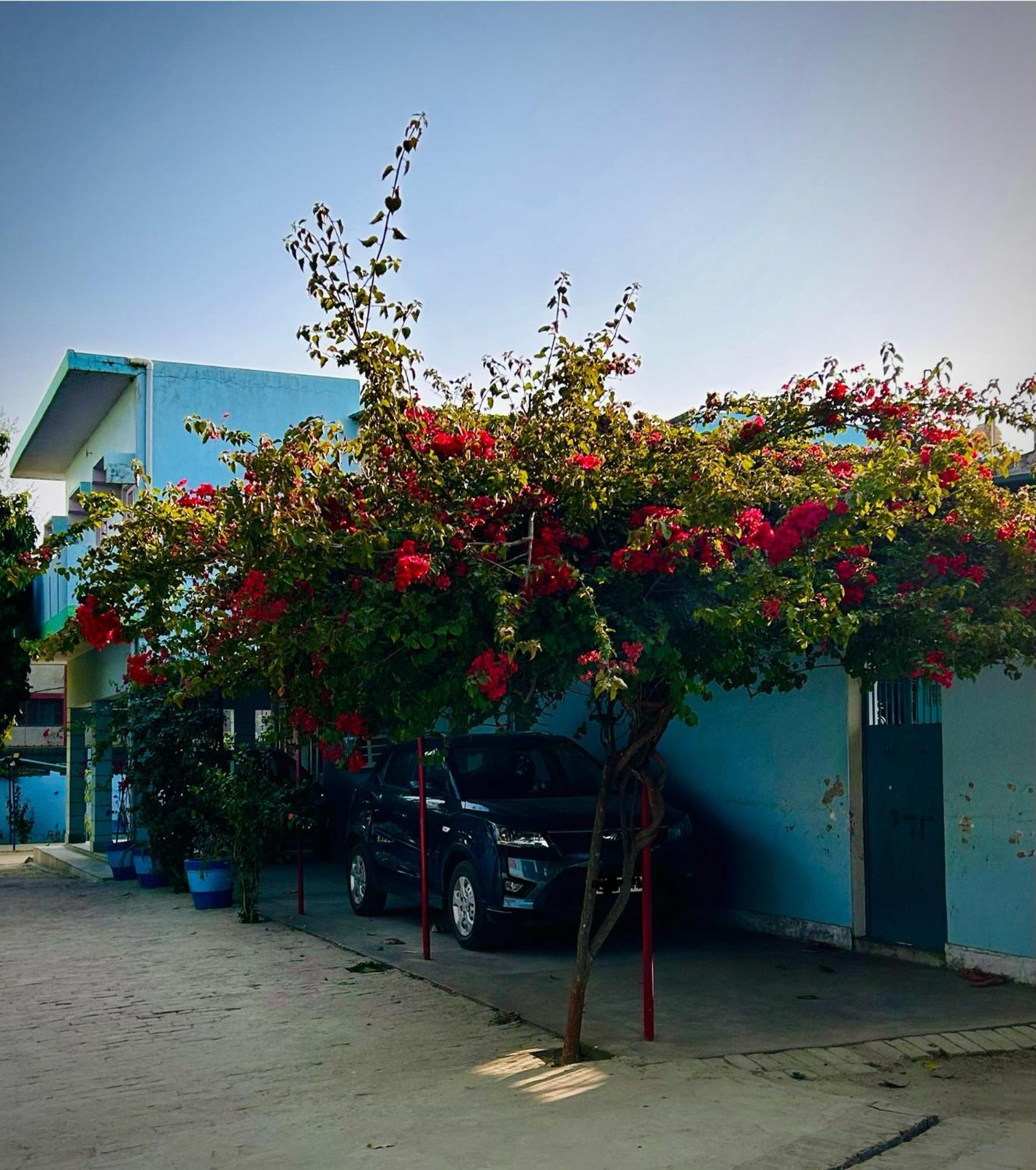 Vila Gooseberry Garden Ayodhya Exteriér fotografie