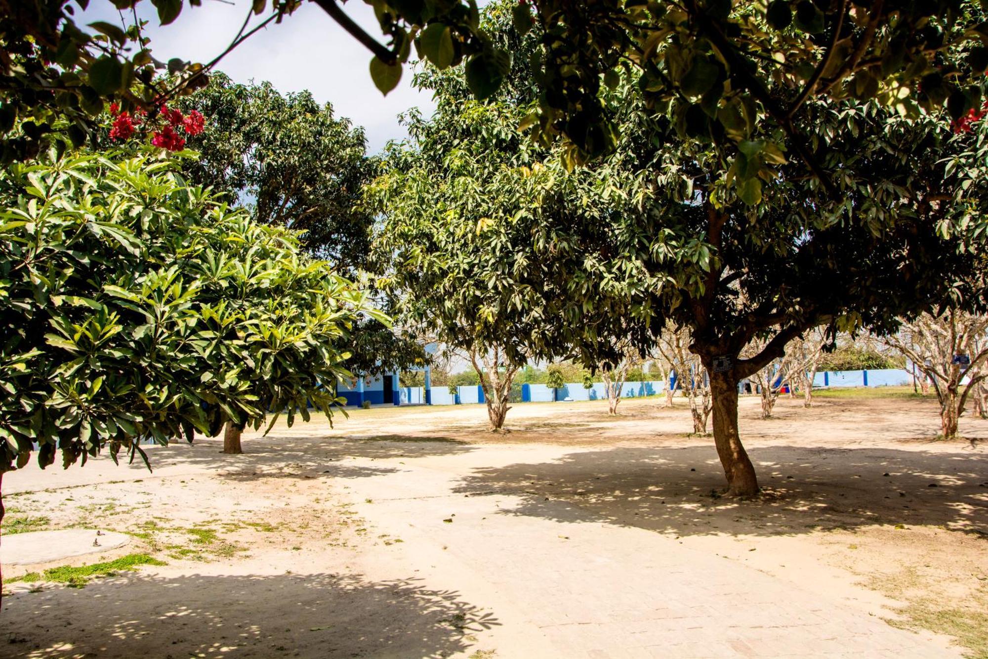 Vila Gooseberry Garden Ayodhya Exteriér fotografie